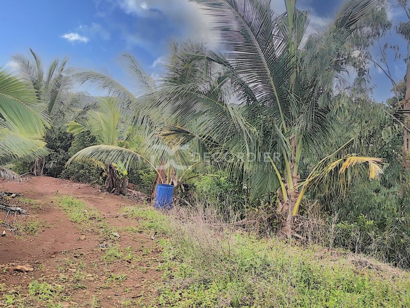 Surinam Land 3.93&nbsp;ha Sale