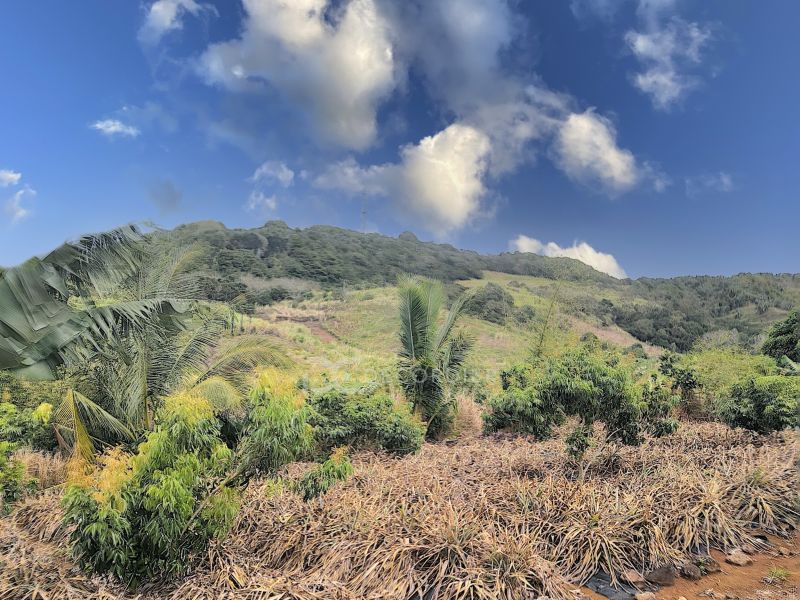 Sale Surinam Agricultural land 3.93 ha DECORDIER Immobilier