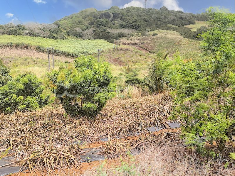 Surinam Land 3.93&nbsp;ha Sale