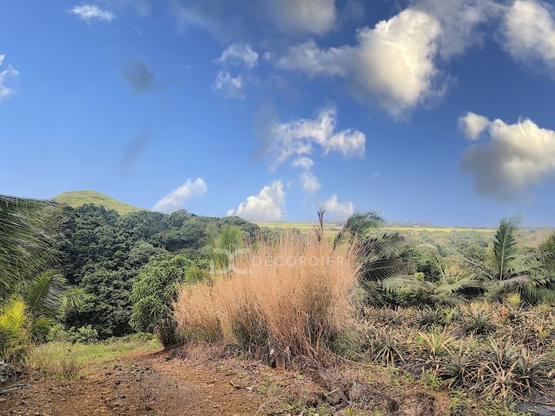 Surinam Land 3.93&nbsp;ha Sale