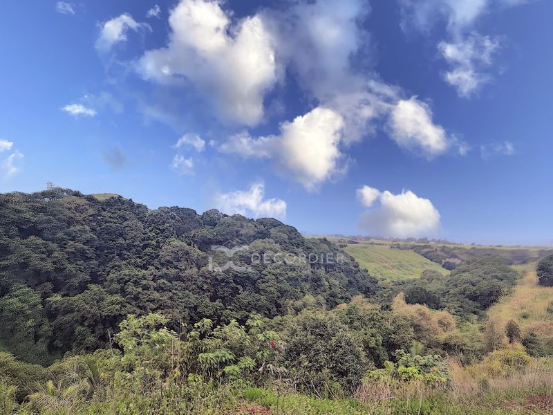 Surinam Land 3.93&nbsp;ha Sale