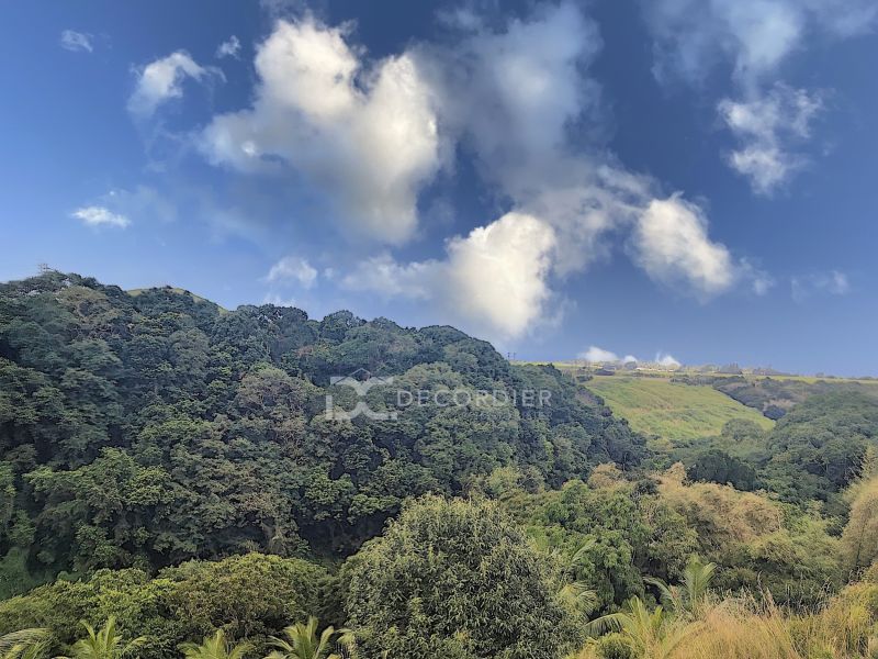 Surinam Land 3.93&nbsp;ha Sale