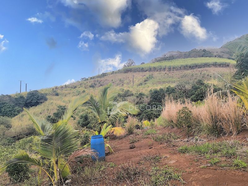Sale Surinam Agricultural land 3.93 ha DECORDIER Immobilier