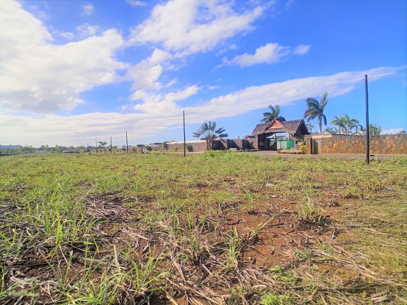 Grand Baie Terrain 2.53 ha Vente