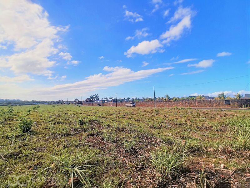 Grand Baie Terrain 2.53 ha Vente