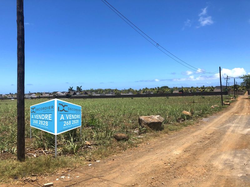 Grand Baie Terrain 2.53 ha Vente