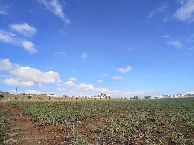 Grand Baie Terrain 2.53 ha Vente