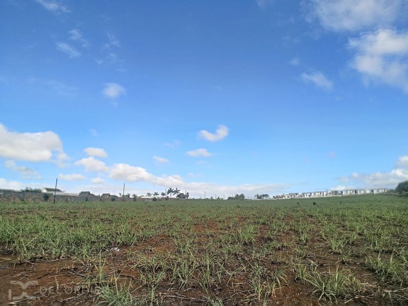 Grand Baie Terrain 2.53 ha Vente