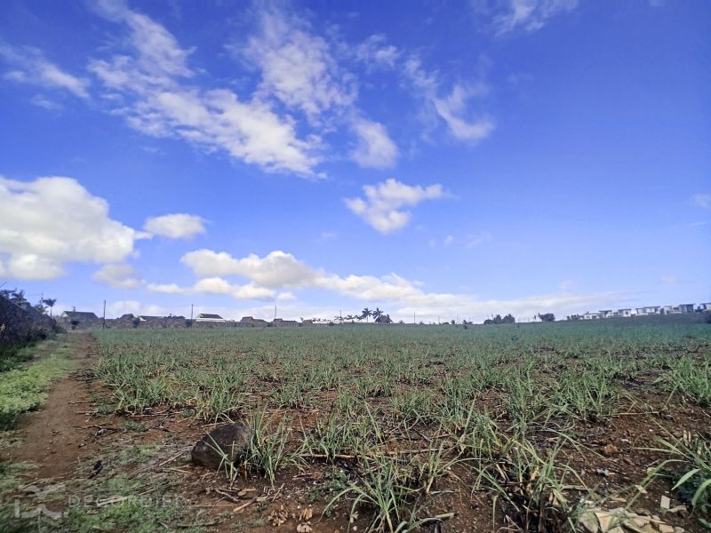 Grand Baie Terrain 2.53 ha Vente