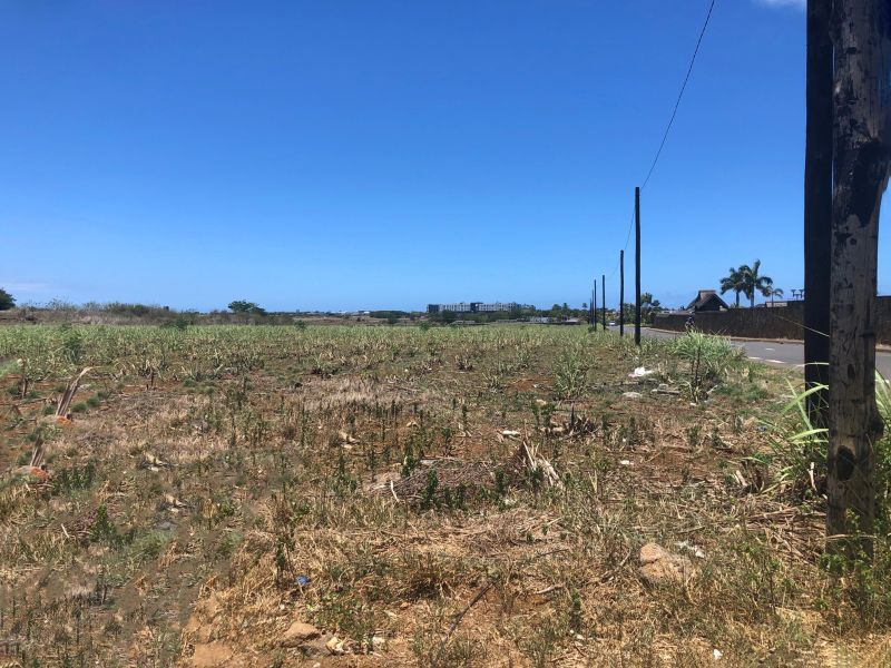 Grand Baie Terrain 2.53 ha Vente