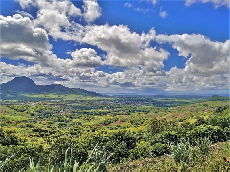 Les Mariannes Terrain agricole 4768 m² Vente
