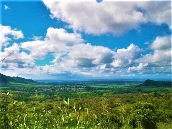 terrain en vente sur Les Mariannes Les Mariannes Terrain 4768 m² Vente