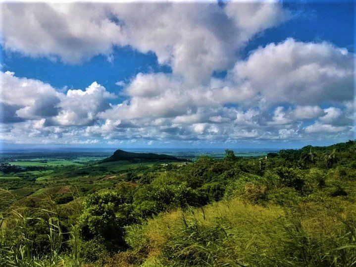 terrain en vente sur Les Mariannes Les Mariannes Terrain 4768 m² Vente