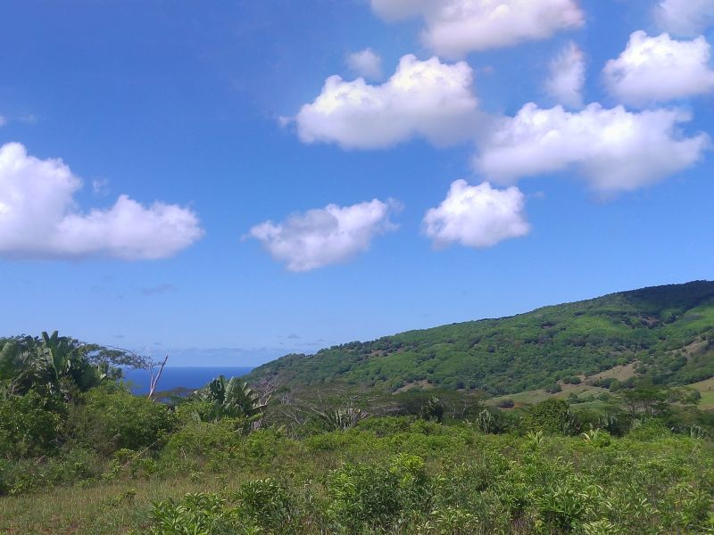 Chamarel Terrain 196.07 ha Vente