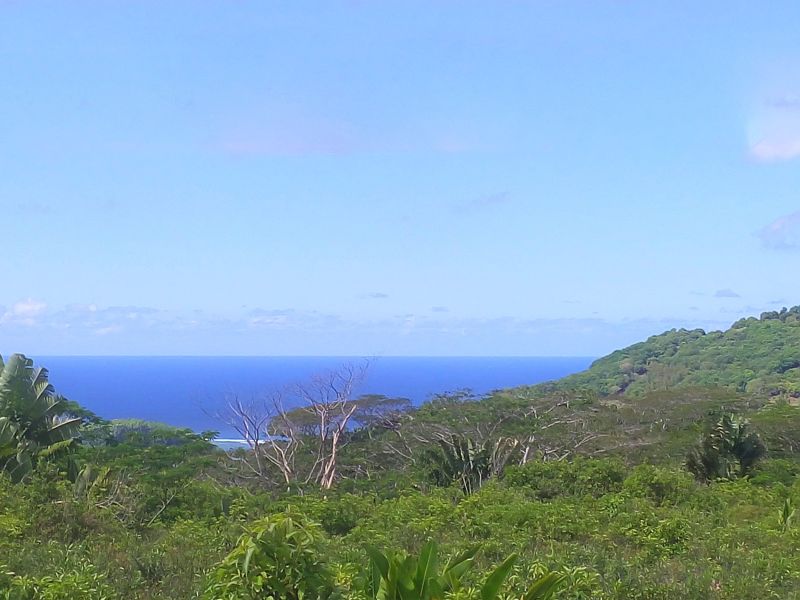 Chamarel Land 196.07&nbsp;ha Sale