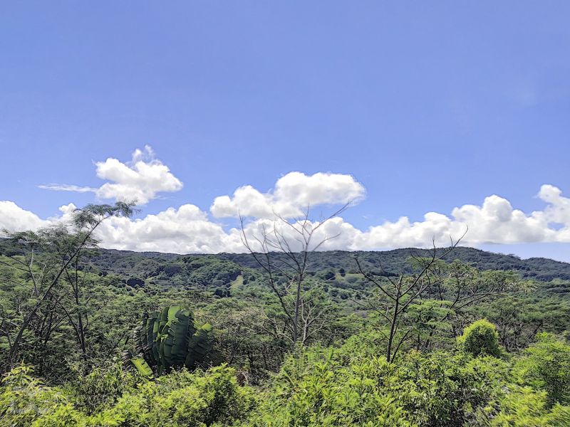 Chamarel Terrain 196.07 ha Vente