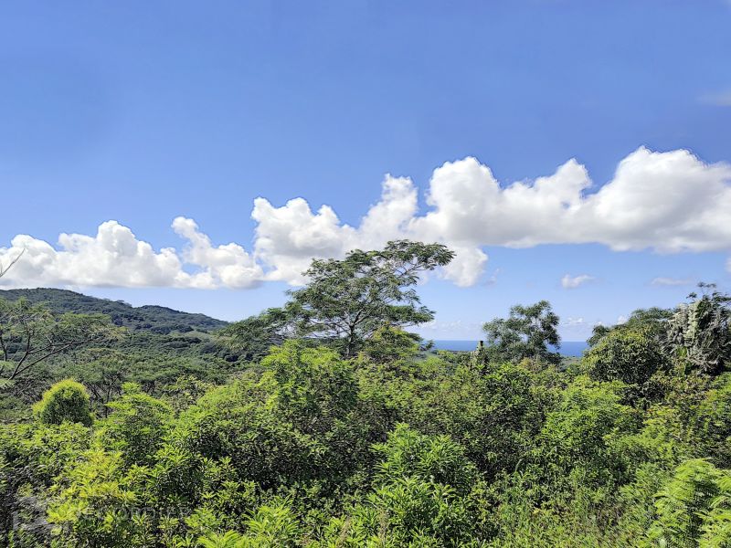 Chamarel Terrain 196.07 ha Vente