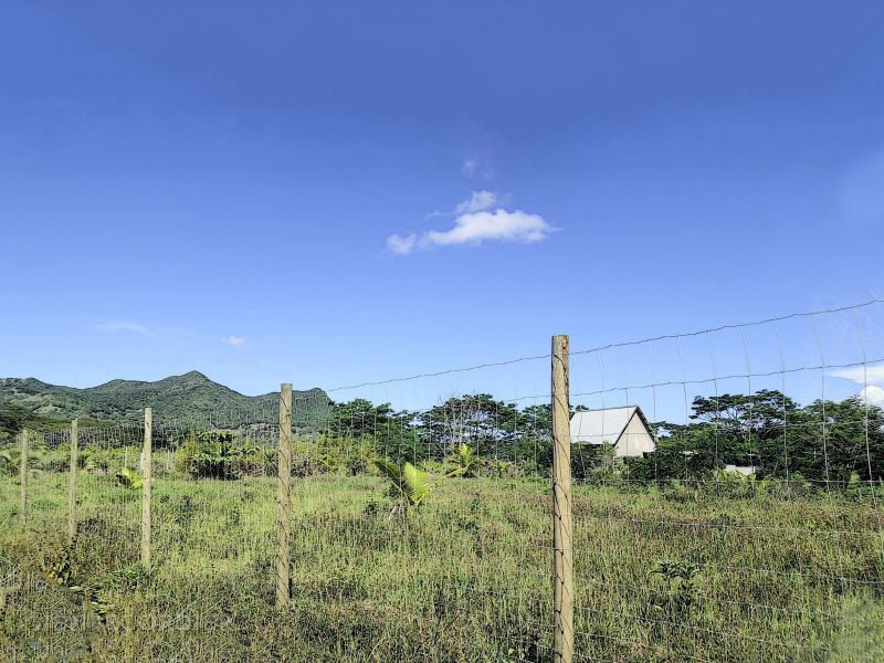 Chamarel Terrain 196.07 ha Vente