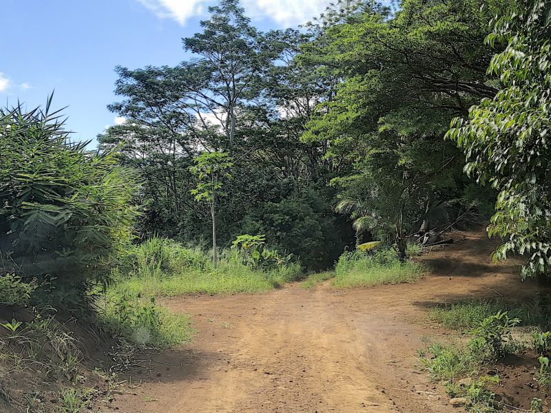 Chamarel Terrain 196.07 ha Vente