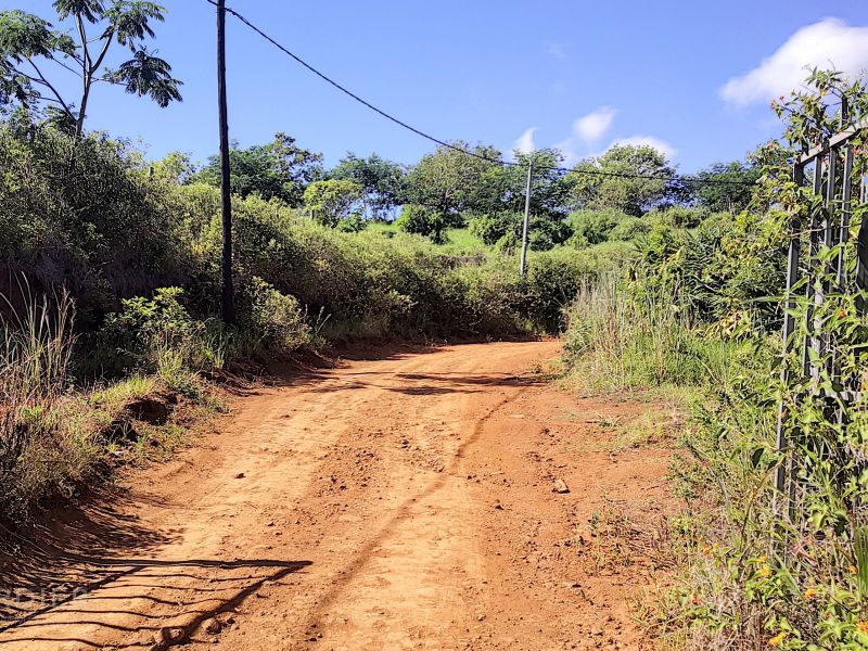 Chamarel Terrain 196.07 ha Vente