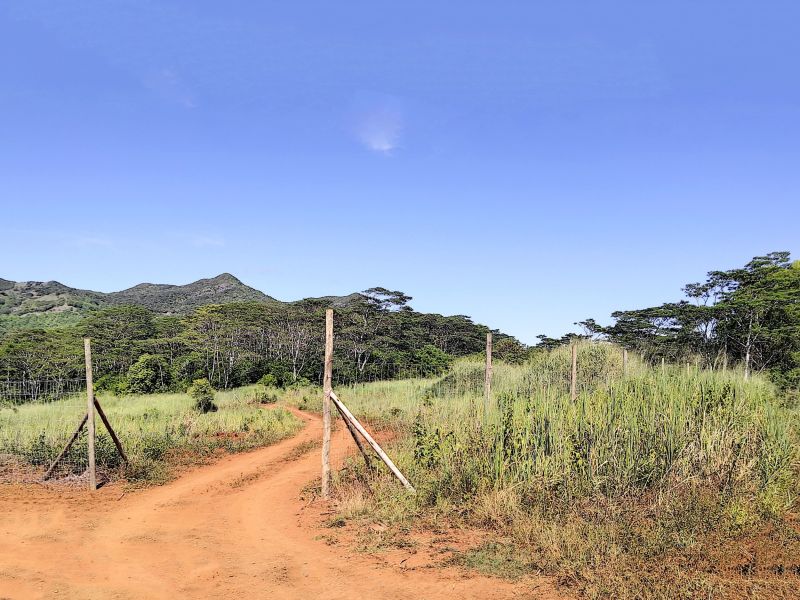 Chamarel Terrain 196.07 ha Vente