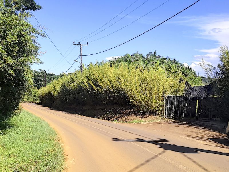 Chamarel Terrain 196.07 ha Vente