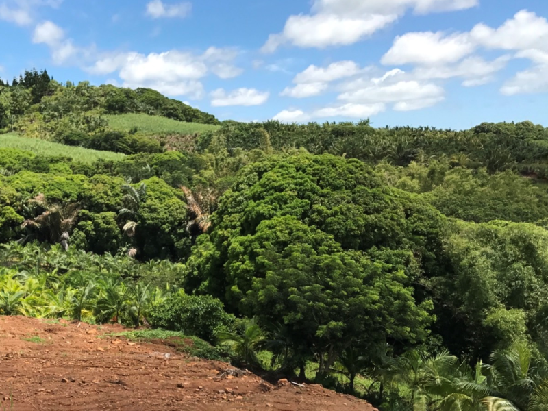 land for sale on Bel Air Bel Air Land 21.225 m² Sale