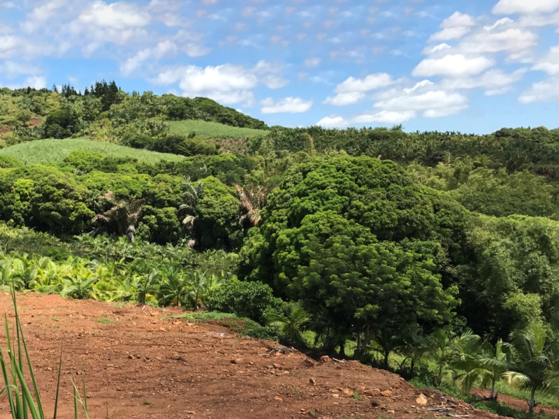 land for sale on Bel Air Bel Air Land 21.225 m² Sale