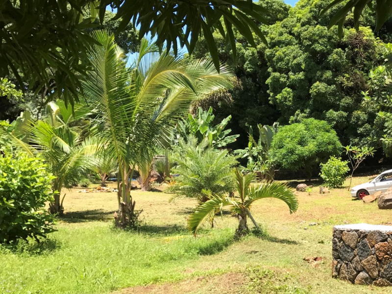 land for sale on Bel Air Bel Air Land 21.225 m² Sale