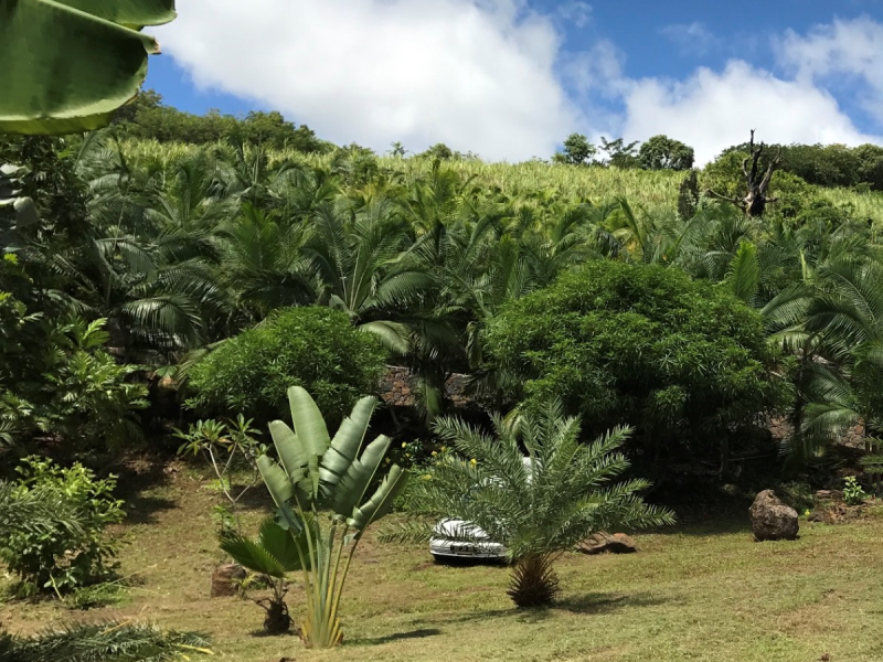 land for sale on Bel Air Bel Air Land 21.225 m² Sale