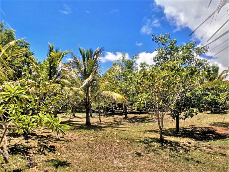Petit Raffray House 10&nbsp;rooms 400&nbsp;m² Sale