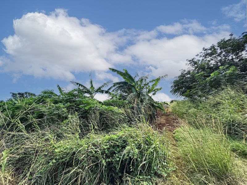 Fond du Sac Terrain 2110 m² Vente