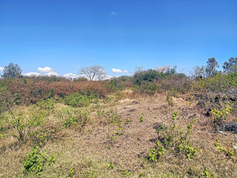 Pereybere Land 886.51&nbsp;m² Sale