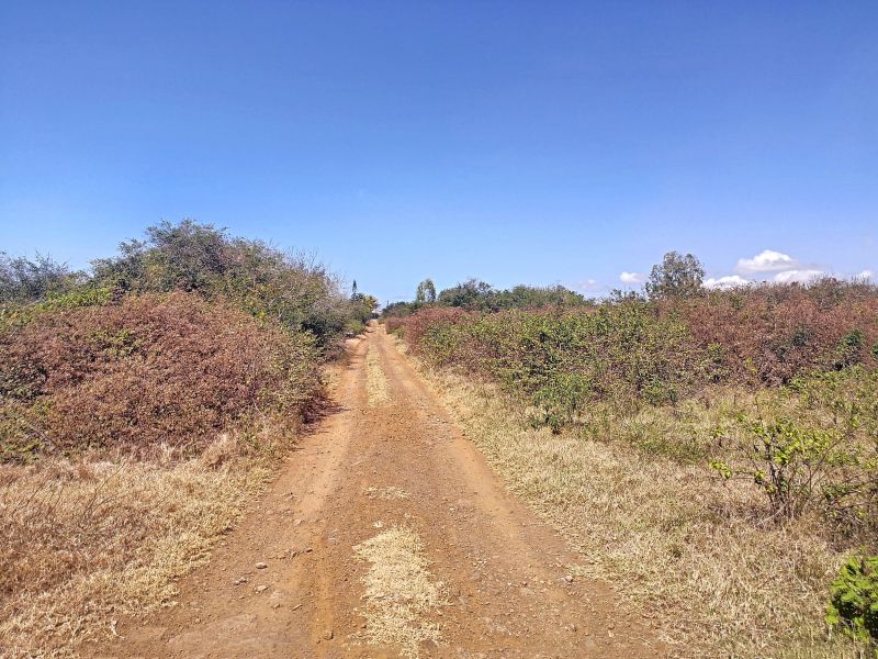 Pereybere Land 886.51&nbsp;m² Sale