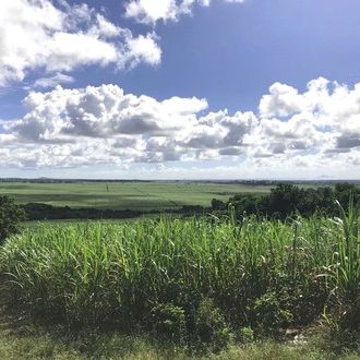 Terrain Agricole Camp de Masque VENDUE par DECORDIER immobilier Mauritius. 