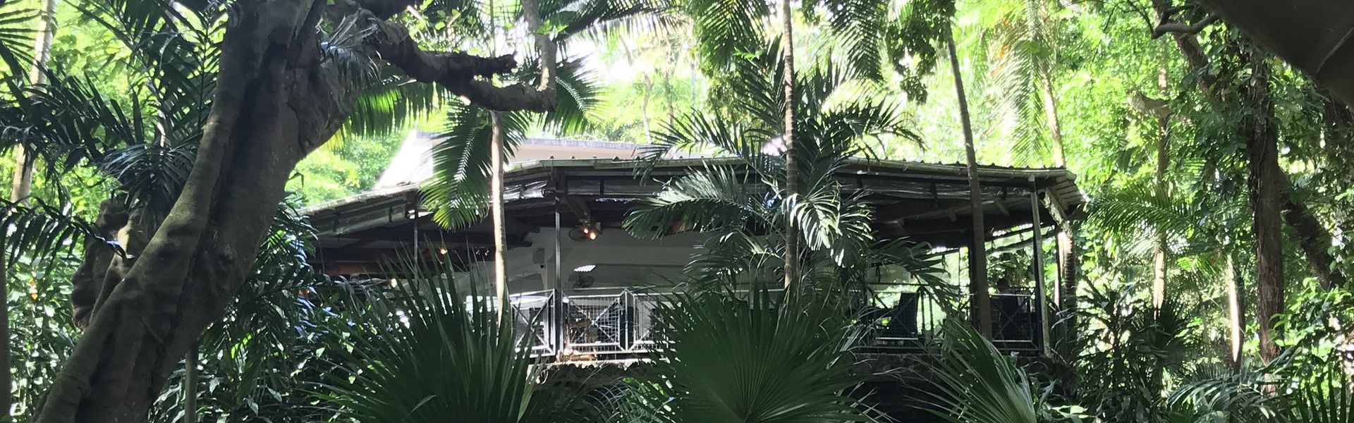 To be less scared of crocodiles, there is nothing better than observing them from afar. La Vanille Crocodile Park, now called La Vanille Nature Park allows you to do that, along with interacting with other animals. Built in 1985, it is located in the south of Mauritius, precisely at Rivière des Anguilles.