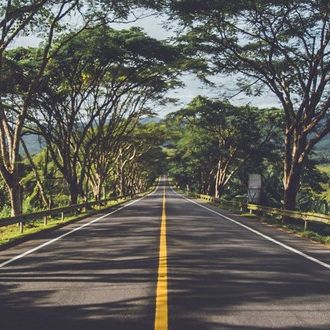 Les routes à parcourir absolument à Maurice