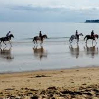 L'équitation à l'île Maurice