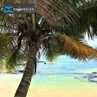 Mauritius, Grand-Baie, sea, sun, beach, summer, tropical island, indian ocean, Decordier immobilier, real state