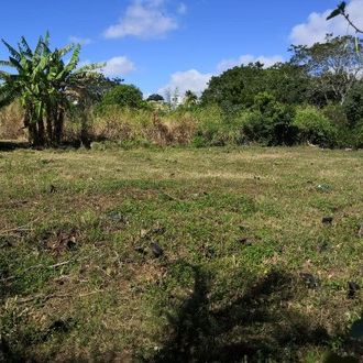 Terrain Petit Raffray VENDUE par DECORDIER immobilier Mauritius.